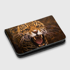 Картхолдер с принтом с принтом Леопард , натуральная матовая кожа | размер 7,3 х 10 см; кардхолдер имеет 4 кармана для карт; | дикая кошка | клыки | леопард | оскал | хищник