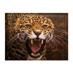 Обложка для студенческого билета с принтом Леопард , натуральная кожа | Размер: 11*8 см; Печать на всей внешней стороне | Тематика изображения на принте: дикая кошка | клыки | леопард | оскал | хищник