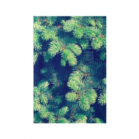Обложка для паспорта матовая кожа с принтом Ёлочка , натуральная матовая кожа | размер 19,3 х 13,7 см; прозрачные пластиковые крепления | Тематика изображения на принте: елка | ель | зеленый | пихтовые | природа | свежесть | хвоя