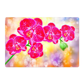 Магнитный плакат 3Х2 с принтом Орхидея , Полимерный материал с магнитным слоем | 6 деталей размером 9*9 см | лепесток | орхидея | природа | цветок | яркая