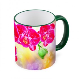Кружка 3D с принтом Орхидея , керамика | ёмкость 330 мл | Тематика изображения на принте: лепесток | орхидея | природа | цветок | яркая
