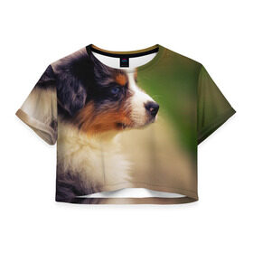 Женская футболка 3D укороченная с принтом Aussi , 100% полиэстер | круглая горловина, длина футболки до линии талии, рукава с отворотами | австралийская овчарка | животные | пёс | собака | щенок