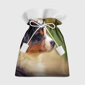 Подарочный 3D мешок с принтом Aussi , 100% полиэстер | Размер: 29*39 см | Тематика изображения на принте: австралийская овчарка | животные | пёс | собака | щенок