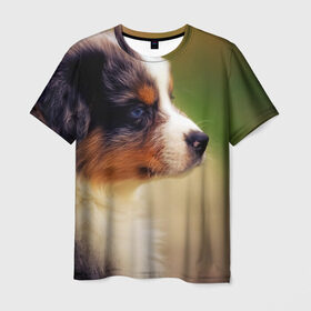 Мужская футболка 3D с принтом Aussi , 100% полиэфир | прямой крой, круглый вырез горловины, длина до линии бедер | австралийская овчарка | животные | пёс | собака | щенок
