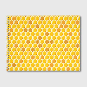 Альбом для рисования с принтом Медовые соты , 100% бумага
 | матовая бумага, плотность 200 мг. | Тематика изображения на принте: арт | еда | мед | пчелы | соты
