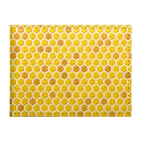 Обложка для студенческого билета с принтом Медовые соты , натуральная кожа | Размер: 11*8 см; Печать на всей внешней стороне | Тематика изображения на принте: арт | еда | мед | пчелы | соты