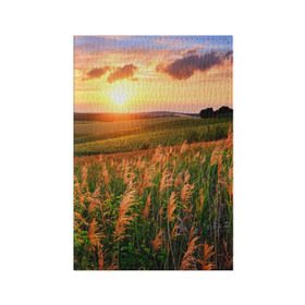 Обложка для паспорта матовая кожа с принтом Родные просторы , натуральная матовая кожа | размер 19,3 х 13,7 см; прозрачные пластиковые крепления | Тематика изображения на принте: sunrise | sunset | восход | деревня | закат | луг | небо | облака | поле | природа | солнце | цветы