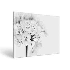 Холст прямоугольный с принтом Белые цветочки 5 , 100% ПВХ |  | белый | цветок | цветы