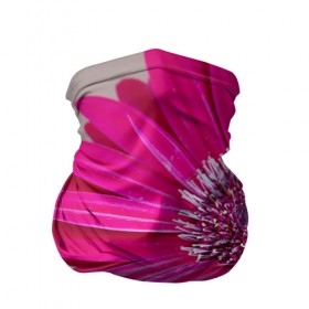 Бандана-труба 3D с принтом Гербера 2 , 100% полиэстер, ткань с особыми свойствами — Activecool | плотность 150‒180 г/м2; хорошо тянется, но сохраняет форму | герберы | зелень | лепестки | природа | растения | цветы