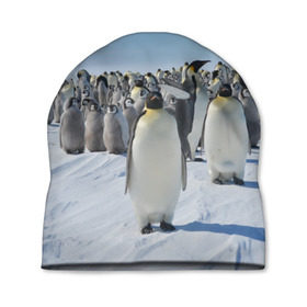 Шапка 3D с принтом Пингвины , 100% полиэстер | универсальный размер, печать по всей поверхности изделия | пингвин