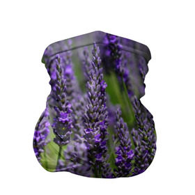 Бандана-труба 3D с принтом Лаванда , 100% полиэстер, ткань с особыми свойствами — Activecool | плотность 150‒180 г/м2; хорошо тянется, но сохраняет форму | Тематика изображения на принте: зеленый | зелень | лаванда | лето | поле | природа | синий | цветы