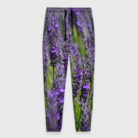 Мужские брюки 3D с принтом Лаванда , 100% полиэстер | манжеты по низу, эластичный пояс регулируется шнурком, по бокам два кармана без застежек, внутренняя часть кармана из мелкой сетки | зеленый | зелень | лаванда | лето | поле | природа | синий | цветы