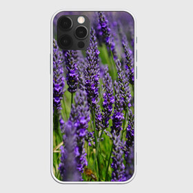 Чехол для iPhone 12 Pro Max с принтом Лаванда , Силикон |  | зеленый | зелень | лаванда | лето | поле | природа | синий | цветы