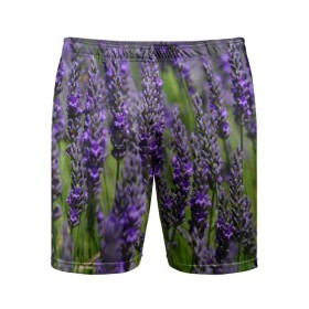 Мужские шорты 3D спортивные с принтом Лаванда ,  |  | Тематика изображения на принте: зеленый | зелень | лаванда | лето | поле | природа | синий | цветы