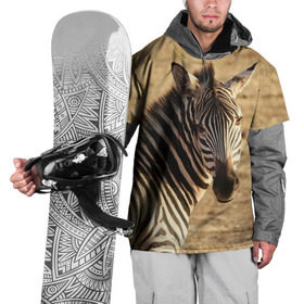Накидка на куртку 3D с принтом Зебра , 100% полиэстер |  | африка | голова животного | зебра | лошадь | природа