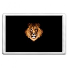 Магнит 45*70 с принтом Лев , Пластик | Размер: 78*52 мм; Размер печати: 70*45 | lion | голова | лев