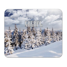 Коврик прямоугольный с принтом Сибирь , натуральный каучук | размер 230 х 185 мм; запечатка лицевой стороны | ель | лес | небо | облака | природа | снег | сосна | сугробы | тайга | хвоя
