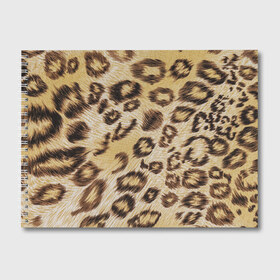 Альбом для рисования с принтом Леопардовая ткань , 100% бумага
 | матовая бумага, плотность 200 мг. | гепард | гламур | леопард | мода | пятна | роскошь | ткань | точки | шерсть