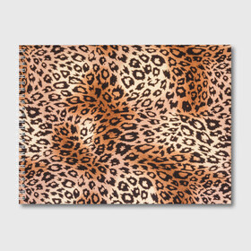 Альбом для рисования с принтом Леопардовая шкура , 100% бумага
 | матовая бумага, плотность 200 мг. | Тематика изображения на принте: гепард | гламур | леопард | мода | роскошь | шерсть