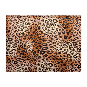 Обложка для студенческого билета с принтом Леопардовая шкура , натуральная кожа | Размер: 11*8 см; Печать на всей внешней стороне | Тематика изображения на принте: гепард | гламур | леопард | мода | роскошь | шерсть