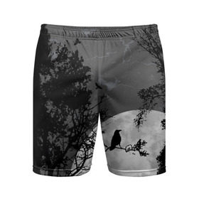 Мужские шорты 3D спортивные с принтом Черный ворон ,  |  | ворон | луна | новинки | ночь | полнолуние | природа | птица