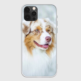Чехол для iPhone 12 Pro Max с принтом Австралийская овчарка , Силикон |  | австралийская овчарка | животные | природа | собака | щенок