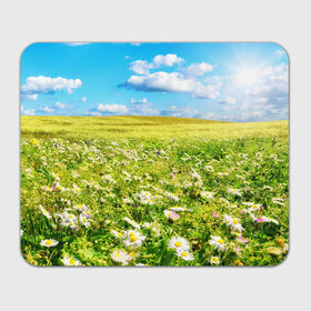 Коврик прямоугольный с принтом Ромашковый ковёр , натуральный каучук | размер 230 х 185 мм; запечатка лицевой стороны | Тематика изображения на принте: горизонт | зелень | небо | облака | поле | поляна | ромашки | солнце | цветы