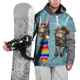 Накидка на куртку 3D с принтом Мейн-кун 1 , 100% полиэстер |  | кот | котенок | котик | котэ | кошка | мейн кун | мейнкун | мэйн кун | мэйнкун