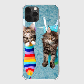 Чехол для iPhone 12 Pro с принтом Мейн-кун 1 , силикон | область печати: задняя сторона чехла, без боковых панелей | кот | котенок | котик | котэ | кошка | мейн кун | мейнкун | мэйн кун | мэйнкун