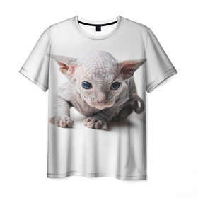 Мужская футболка 3D с принтом Сфинкс 1 , 100% полиэфир | прямой крой, круглый вырез горловины, длина до линии бедер | Тематика изображения на принте: кот | котенок | котик | котэ | кошка | сфинкс