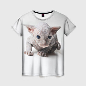Женская футболка 3D с принтом Сфинкс 1 , 100% полиэфир ( синтетическое хлопкоподобное полотно) | прямой крой, круглый вырез горловины, длина до линии бедер | кот | котенок | котик | котэ | кошка | сфинкс