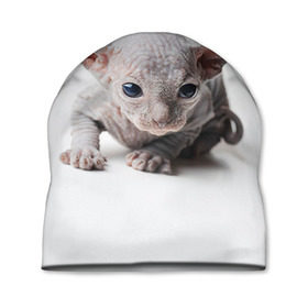 Шапка 3D с принтом Сфинкс 1 , 100% полиэстер | универсальный размер, печать по всей поверхности изделия | кот | котенок | котик | котэ | кошка | сфинкс
