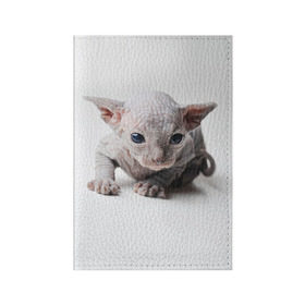 Обложка для паспорта матовая кожа с принтом Сфинкс 1 , натуральная матовая кожа | размер 19,3 х 13,7 см; прозрачные пластиковые крепления | Тематика изображения на принте: кот | котенок | котик | котэ | кошка | сфинкс