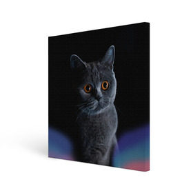 Холст квадратный с принтом Британец 1 , 100% ПВХ |  | Тематика изображения на принте: британец | британская | британцы | кот | котенок | котик | котэ | кошка