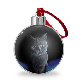 Ёлочный шар с принтом Британец 1 , Пластик | Диаметр: 77 мм | Тематика изображения на принте: британец | британская | британцы | кот | котенок | котик | котэ | кошка