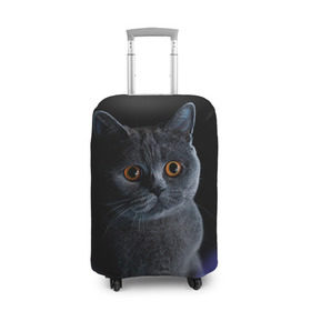 Чехол для чемодана 3D с принтом Британец 1 , 86% полиэфир, 14% спандекс | двустороннее нанесение принта, прорези для ручек и колес | британец | британская | британцы | кот | котенок | котик | котэ | кошка