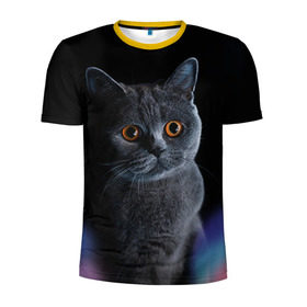 Мужская футболка 3D спортивная с принтом Британец 1 , 100% полиэстер с улучшенными характеристиками | приталенный силуэт, круглая горловина, широкие плечи, сужается к линии бедра | британец | британская | британцы | кот | котенок | котик | котэ | кошка