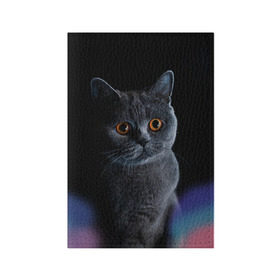 Обложка для паспорта матовая кожа с принтом Британец 1 , натуральная матовая кожа | размер 19,3 х 13,7 см; прозрачные пластиковые крепления | британец | британская | британцы | кот | котенок | котик | котэ | кошка