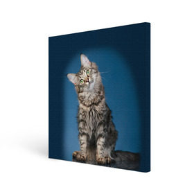 Холст квадратный с принтом Мейн-кун 2 , 100% ПВХ |  | кот | котенок | котик | котэ | кошка | мейн кун | мейнкун | мэйн кун | мэйнкун