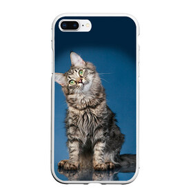 Чехол для iPhone 7Plus/8 Plus матовый с принтом Мейн-кун 2 , Силикон | Область печати: задняя сторона чехла, без боковых панелей | Тематика изображения на принте: кот | котенок | котик | котэ | кошка | мейн кун | мейнкун | мэйн кун | мэйнкун