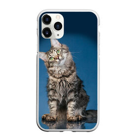 Чехол для iPhone 11 Pro Max матовый с принтом Мейн-кун 2 , Силикон |  | кот | котенок | котик | котэ | кошка | мейн кун | мейнкун | мэйн кун | мэйнкун