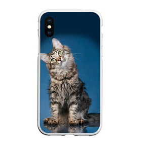 Чехол для iPhone XS Max матовый с принтом Мейн-кун 2 , Силикон | Область печати: задняя сторона чехла, без боковых панелей | Тематика изображения на принте: кот | котенок | котик | котэ | кошка | мейн кун | мейнкун | мэйн кун | мэйнкун