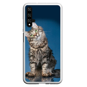 Чехол для Honor 20 с принтом Мейн-кун 2 , Силикон | Область печати: задняя сторона чехла, без боковых панелей | Тематика изображения на принте: кот | котенок | котик | котэ | кошка | мейн кун | мейнкун | мэйн кун | мэйнкун