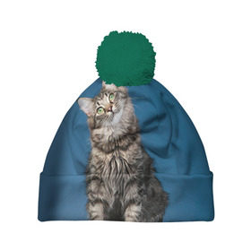 Шапка 3D c помпоном с принтом Мейн-кун 2 , 100% полиэстер | универсальный размер, печать по всей поверхности изделия | кот | котенок | котик | котэ | кошка | мейн кун | мейнкун | мэйн кун | мэйнкун