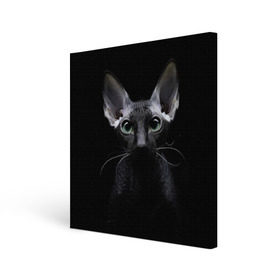 Холст квадратный с принтом Сфинкс 2 , 100% ПВХ |  | Тематика изображения на принте: кот | котенок | котик | котэ | кошка | сфинкс