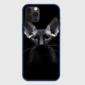 Чехол для iPhone 12 Pro Max с принтом Сфинкс 2 , Силикон |  | кот | котенок | котик | котэ | кошка | сфинкс