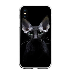 Чехол для iPhone XS Max матовый с принтом Сфинкс 2 , Силикон | Область печати: задняя сторона чехла, без боковых панелей | Тематика изображения на принте: кот | котенок | котик | котэ | кошка | сфинкс