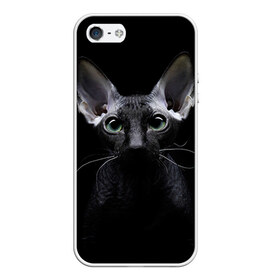 Чехол для iPhone 5/5S матовый с принтом Сфинкс 2 , Силикон | Область печати: задняя сторона чехла, без боковых панелей | кот | котенок | котик | котэ | кошка | сфинкс