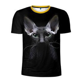 Мужская футболка 3D спортивная с принтом Сфинкс 2 , 100% полиэстер с улучшенными характеристиками | приталенный силуэт, круглая горловина, широкие плечи, сужается к линии бедра | кот | котенок | котик | котэ | кошка | сфинкс