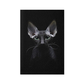 Обложка для паспорта матовая кожа с принтом Сфинкс 2 , натуральная матовая кожа | размер 19,3 х 13,7 см; прозрачные пластиковые крепления | Тематика изображения на принте: кот | котенок | котик | котэ | кошка | сфинкс